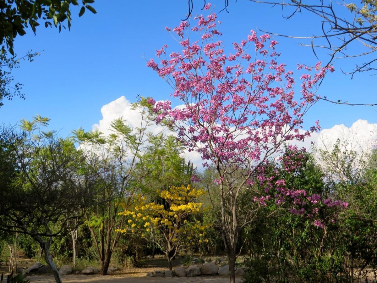 El Pedregal - Hotel En La Naturaleza อาลามอส ภายนอก รูปภาพ
