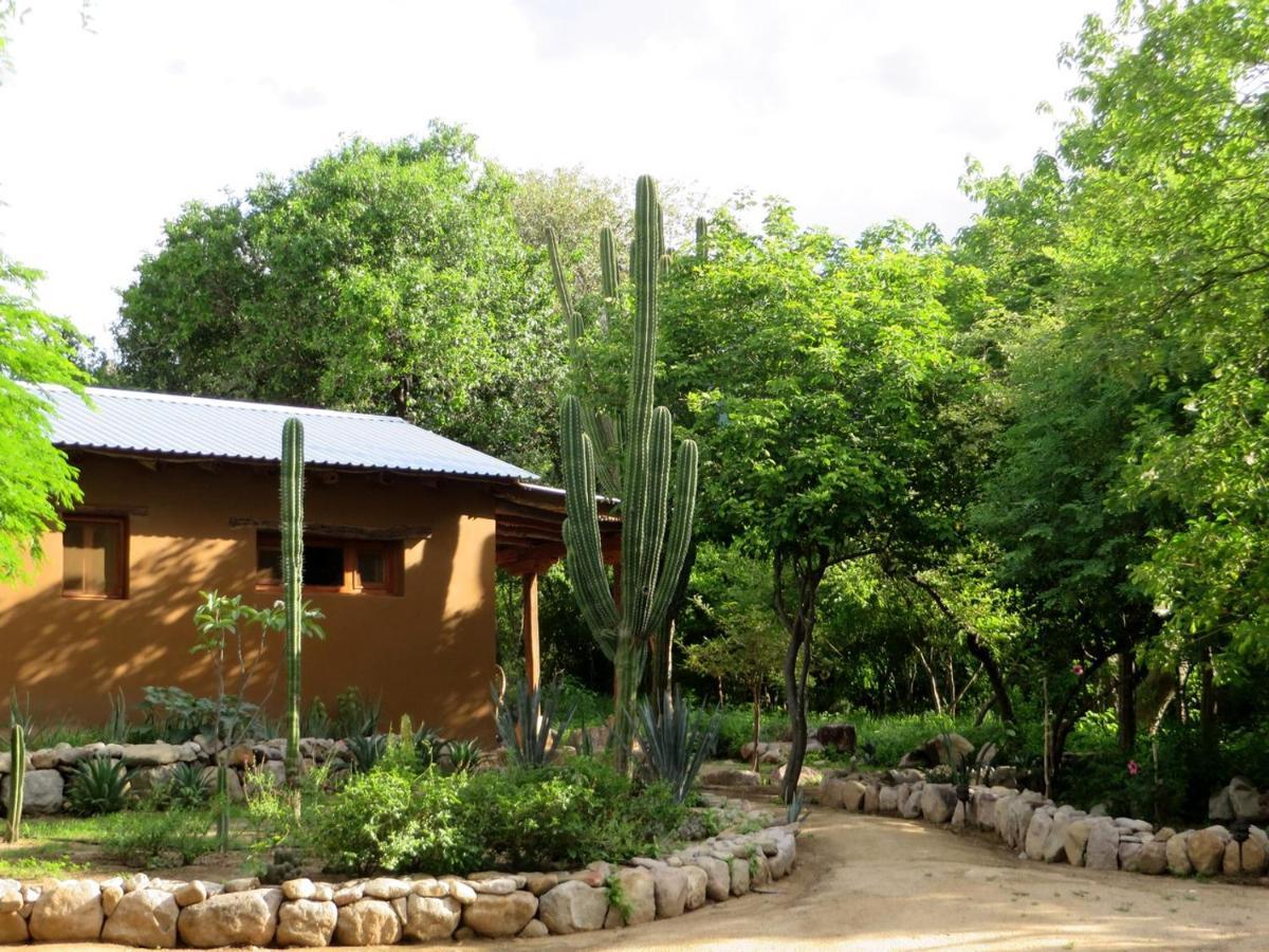 El Pedregal - Hotel En La Naturaleza อาลามอส ภายนอก รูปภาพ